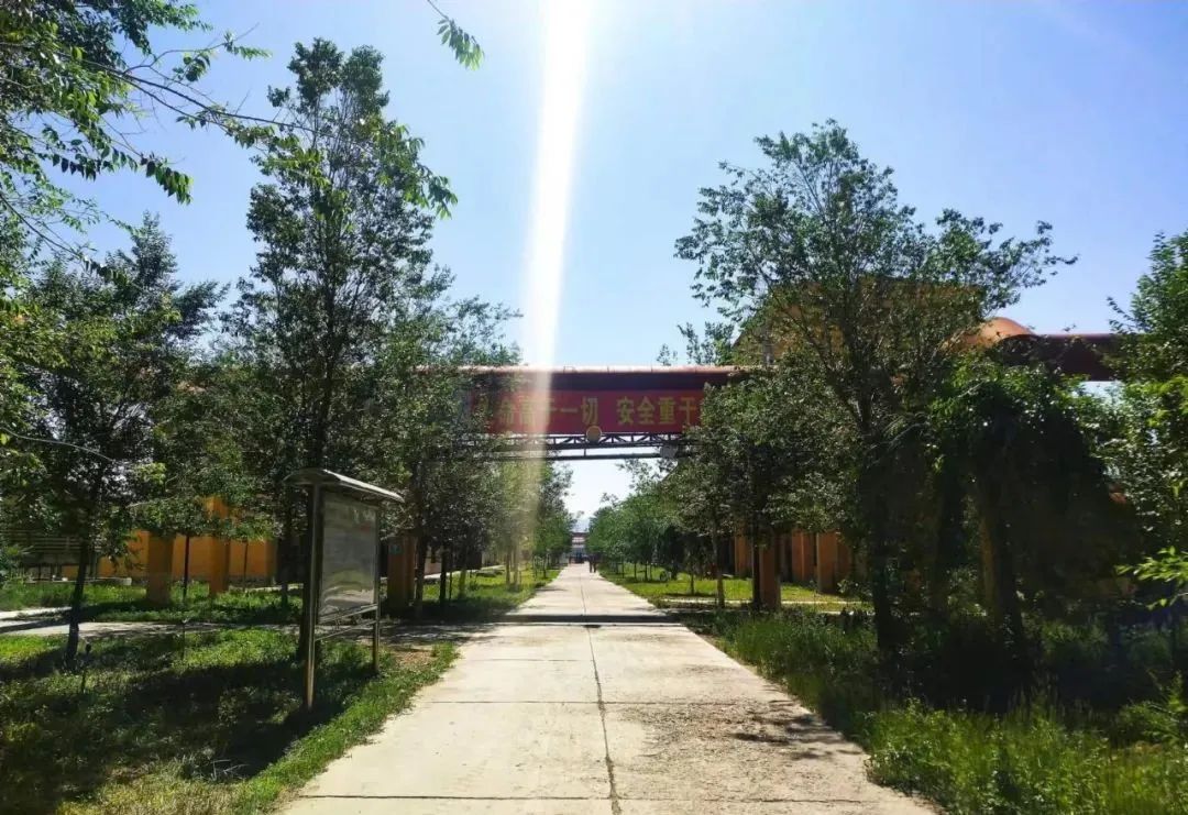宝石花·有声 | 十年，我爱上了你——恒盛